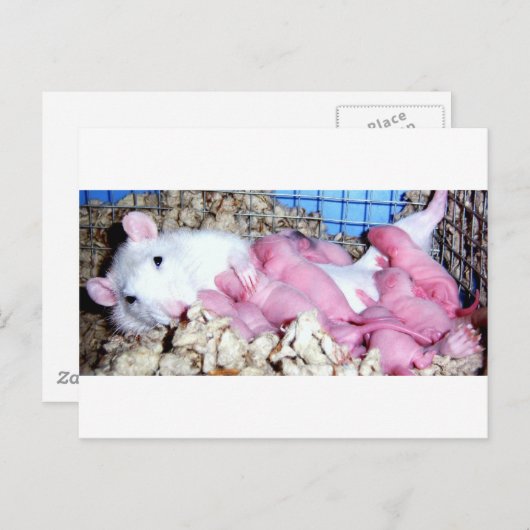 Mutterschaft Postkarte (Vorne/Hinten)