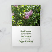 Mutterschmetterling im Juni auf dem Lilatstrauch Karte (Innenseite)