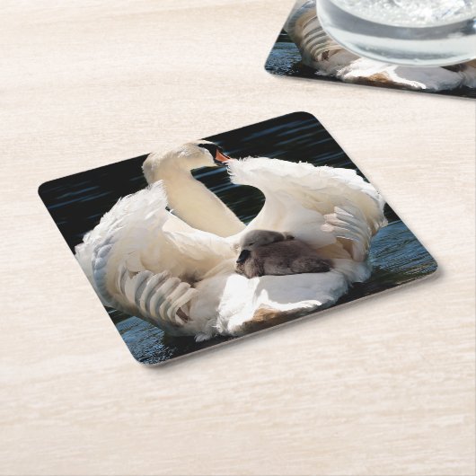 Mutterschwan mit Zygnets (Babyschwäne) Rechteckiger Pappuntersetzer (angewinkelt)
