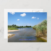 Mutterstrand, Bellport NY Postkarte (Vorne/Hinten)