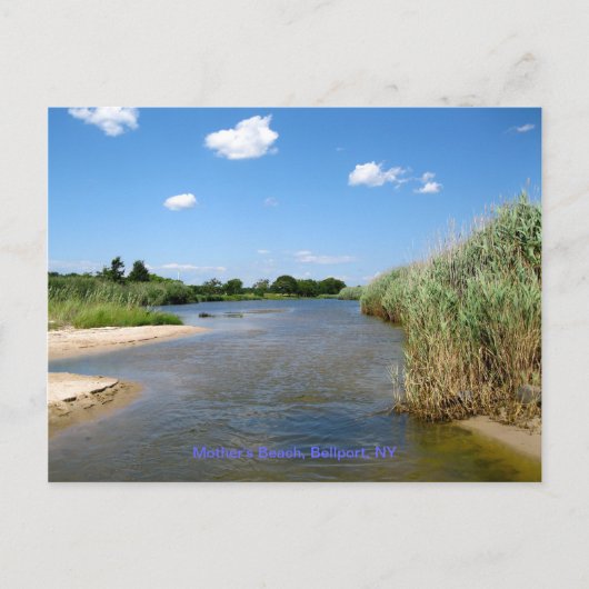 Mutterstrand, Bellport NY Postkarte (Vorderseite)