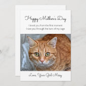 Muttertag aus der Rettungskatzenkarte Feiertagskarte (Vorne/Hinten)