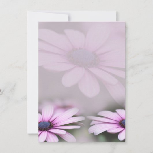 Muttertag Brunch Daisy Einladung (Rückseite)