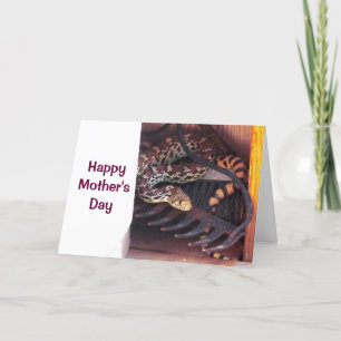 Muttertag - Bull Snake Karte