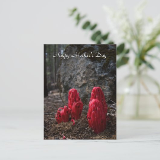 Muttertag der Schneeblocken Postkarte (Stehend Vorderseite)