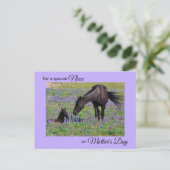 Muttertag für Niece Mare & Foal Foto Postkarte (Stehend Vorderseite)