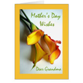 Muttertag für Oma, Calla Lilies (Vorne)