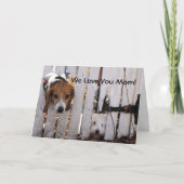 Muttertag gerettete Welpen Karte (Vorderseite)