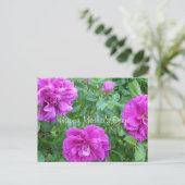 Muttertag-liebliche rosa Blume Postkarte (Stehend Vorderseite)