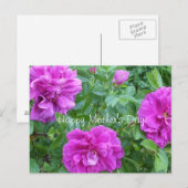 Muttertag-liebliche rosa Blume Postkarte (Vorne/Hinten)