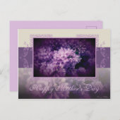 Muttertag Lilac Postkarte (Vorne/Hinten)