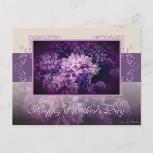 Muttertag Lilac Postkarte (Vorderseite)