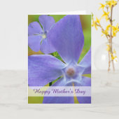 Muttertag mit blühendem Vinca-Weinblut Karte (Gelbe Blume)