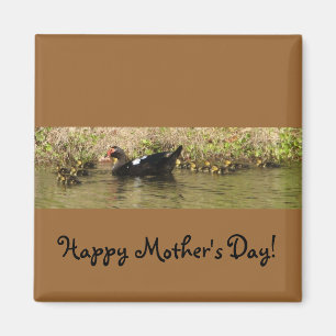 Muttertag Muscovy Duck Magnet