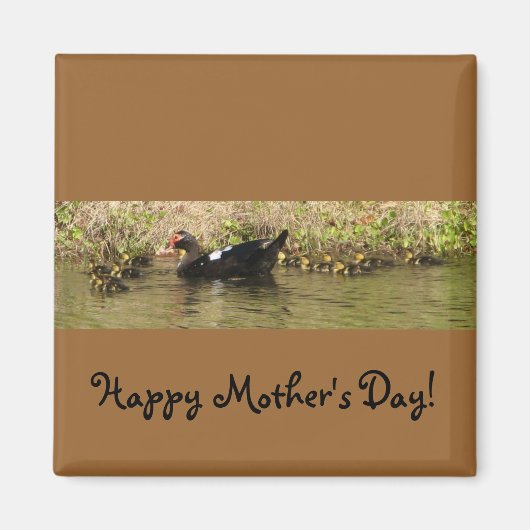 Muttertag Muscovy Duck Magnet (Vorne)