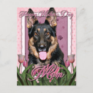 Muttertag - Pink Tulips - German Shepherd - Kuno Postkarte