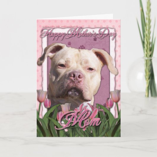 Muttertag - Pink Tulips - Pitbull - Jersey Girl Karte (Vorderseite)