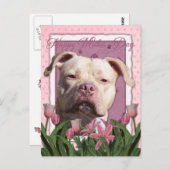 Muttertag - Pink Tulips - Pitbull - Jersey Girl Postkarte (Vorne/Hinten)