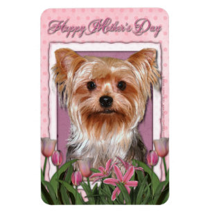 Muttertag - Pink Tulips - Yorkshire Terrier Magnet