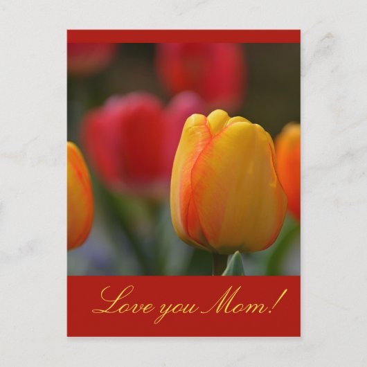 Muttertag Postkarte (Vorderseite)