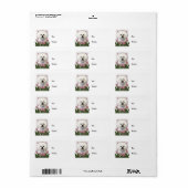 Muttertag - Rosa Tulips - Bichon Frise Adressaufkleber (Vorne)