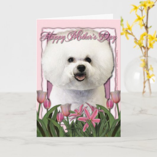 Muttertag - Rosa Tulips - Bichon Frise Karte (Gelbe Blume)