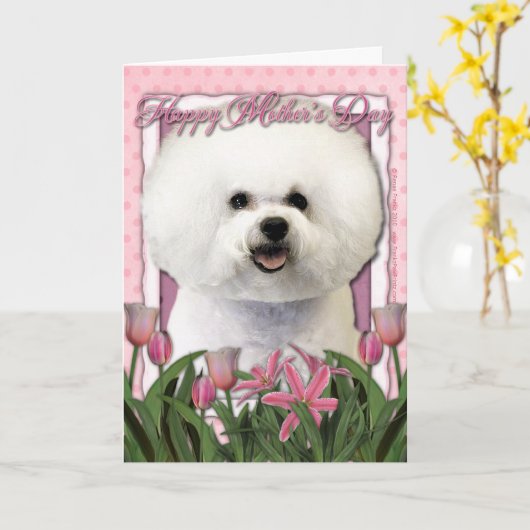 Muttertag - Rosa Tulips - Bichon Frise Karte (Gelbe Blume)