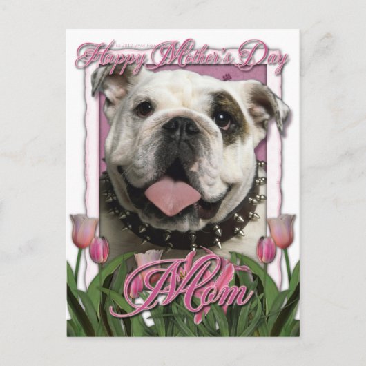 Muttertag - Rosa Tulips - Bulldog Postkarte (Vorderseite)
