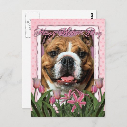 Muttertag - Rosa Tulips - Bulldog Postkarte (Vorne/Hinten)