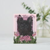 Muttertag - Rosa Tulips - Cairn Terrier - Rosco Postkarte (Stehend Vorderseite)
