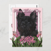 Muttertag - Rosa Tulips - Cairn Terrier - Rosco Postkarte (Vorne/Hinten)
