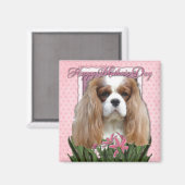 Muttertag - Rosa Tulips - Cavalier - Blenheim Magnet (Vorderseite/Rückseite)