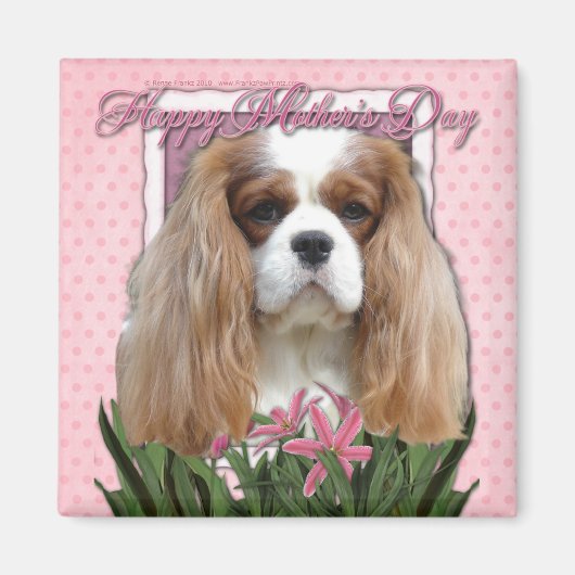 Muttertag - Rosa Tulips - Cavalier - Blenheim Magnet (Vorne)