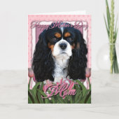 Muttertag - rosa Tulips - Cavalier - trifarbig Karte (Vorderseite)