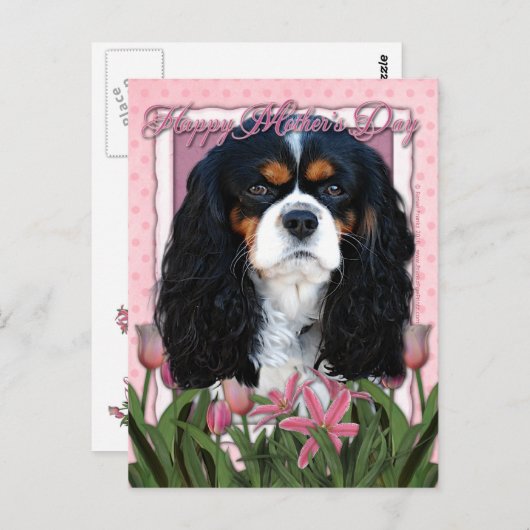 Muttertag - rosa Tulips - Cavalier - trifarbig Postkarte (Vorne/Hinten)