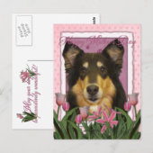 Muttertag - Rosa Tulips - Collie - Caroline Postkarte (Vorne/Hinten)