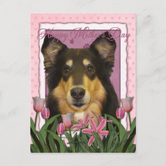 Muttertag - Rosa Tulips - Collie - Caroline Postkarte (Vorderseite)