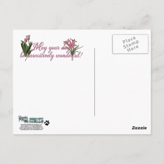 Muttertag - Rosa Tulips - Dackel - Winston Postkarte (Rückseite)