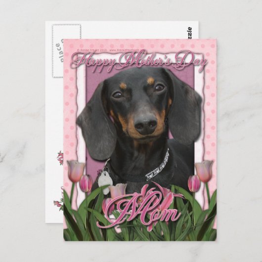 Muttertag - Rosa Tulips - Dackel - Winston Postkarte (Vorne/Hinten)
