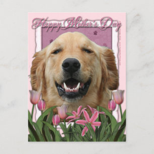 Muttertag - Rosa Tulips - Golden Retriever Postkarte