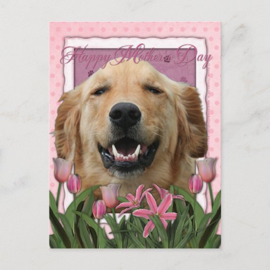 Muttertag - Rosa Tulips - Golden Retriever Postkarte (Vorderseite)