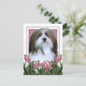Muttertag - Rosa Tulips - Havanese Postkarte (Stehend Vorderseite)