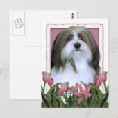 Muttertag - Rosa Tulips - Havanese Postkarte (Vorne/Hinten)