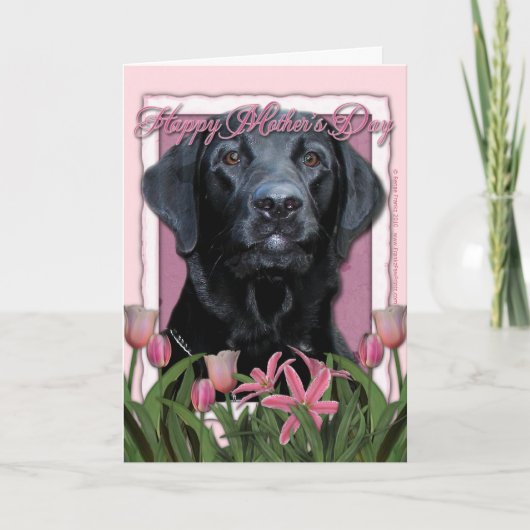 Muttertag - Rosa Tulips - Labrador - Schwarzes Bil Karte (Vorderseite)