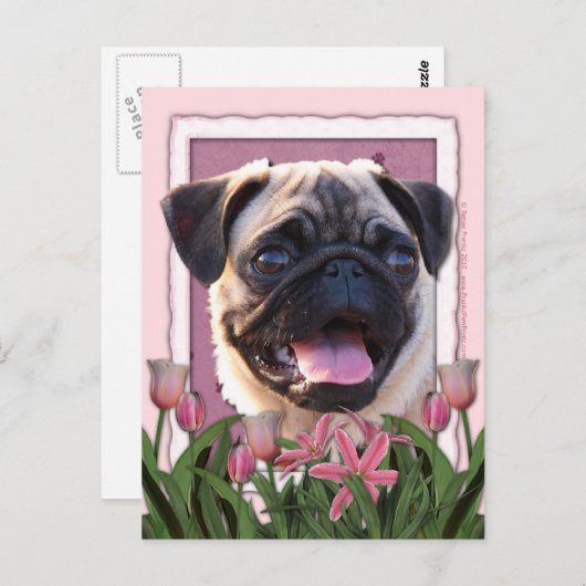 Muttertag - Rosa Tulips - Mops Postkarte (Vorne/Hinten)