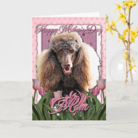 Muttertag - Rosa Tulips - Poodle - Schokolade Karte (Gelbe Blume)