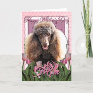 Muttertag - Rosa Tulips - Poodle - Schokolade Karte