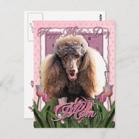 Muttertag - Rosa Tulips - Poodle - Schokolade Postkarte (Vorne/Hinten)