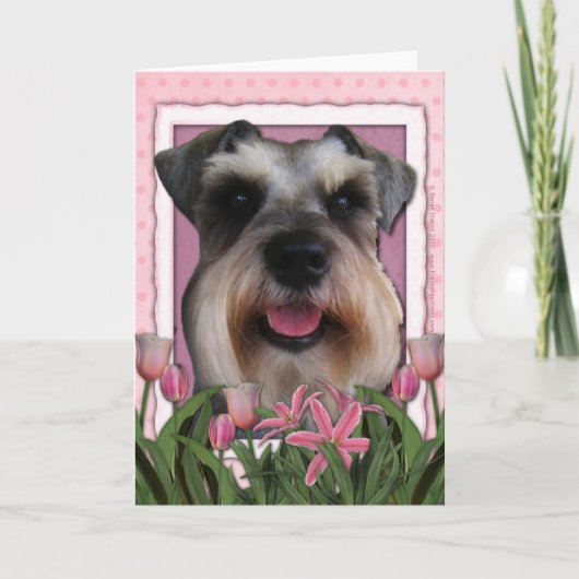 Muttertag - Rosa Tulips - Schnauzer Karte (Vorderseite)