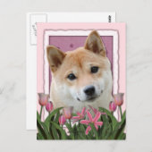 Muttertag - Rosa Tulips - Shiba Inu Postkarte (Vorne/Hinten)
